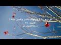 كل يوم آية: {وَنَبْلُوكُمْ بِالشَّرِّ وَالْخَيْرِ فِتْنَةً}