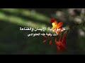 كل يوم آية: الإيمان والقناعة
