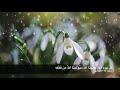كل يوم آية: حَسْبُنَا اللَّهُ سَيُؤْتِينَا اللَّهُ مِن فَضْلِه