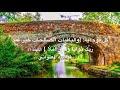 كل يوم آية: {وَالْبَاقِيَاتُ الصالِحَاتُ خَيْرٌ عِندَ رَبِّكَ ثَوَابًا وَخَيْرٌ أَمَلًا }
