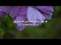 كل يوم آية: الرغبة إلى الله عَزّ وجَلّ