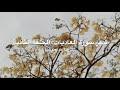 تدبّر سورة العاديات: الحلقة الثانية {آية ١ - آية ٥}