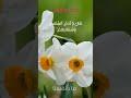 آدم يُعَلِّم الملائكة عن أنفسهم؟