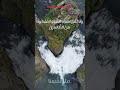 هل تعرف السر وراء أمر الله بعدم القرب من الشجرة؟#سورة_البقرة #حرام