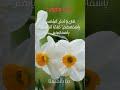 الإنباء والأسماء 3 مرات