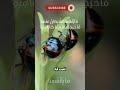 وهم "أنا يمكنني التحكم بنفسي"|رقية العلواني