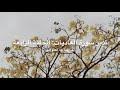 تدبّر سورة العاديات: الحلقة الرابعة {آية ٨ - آية ١١}   أ.د. رقية طه العلواني