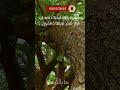 هل تتجاهل هذه الحقيقة في حياتك؟ #قرآن #تدبر #إسلام