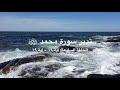 تدبر سورة محمد ﷺ: الحلقة السابعة {آية ١٦ - آية ١٩}
