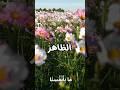 علاقة بلا ألم… بلا نهاية!