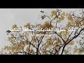 تدبّر سورة العاديات: الحلقة الثالثة {آية ٦ - آية ٧}