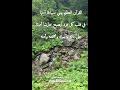 تدبر سورة الحشر 9 تفكيك أزمة الطائفية التي أهدرت واستنزفت طاقات الكثير من المجتمعات عبر العصور