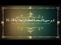 تدبر سورة السجدة الحلقة الرابعة: آية 14 - 16