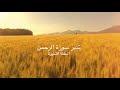 تدبر سورة الرحمن: الحلقة التاسعة