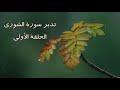 تدبر سورة الشورى: الحلقة الأولى