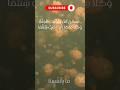 من "اسْكُنْ" إلى الخوف.. ماذا حدث لبيوتنا اليوم؟