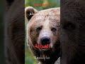هل "الظروف" فعلاً أقوى منك؟ الحقيقة المخفية في هذه الآية!