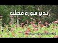تدبر سورة فصلت الحلقة الخامسة والأخيرة : آية 37 - 54