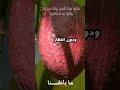 النعيم هو من يأتي إليك…