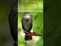 خطوة واحدة قبل الكارثة..