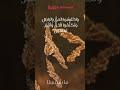 الآية التي سحبت منّا كل الأعذار..